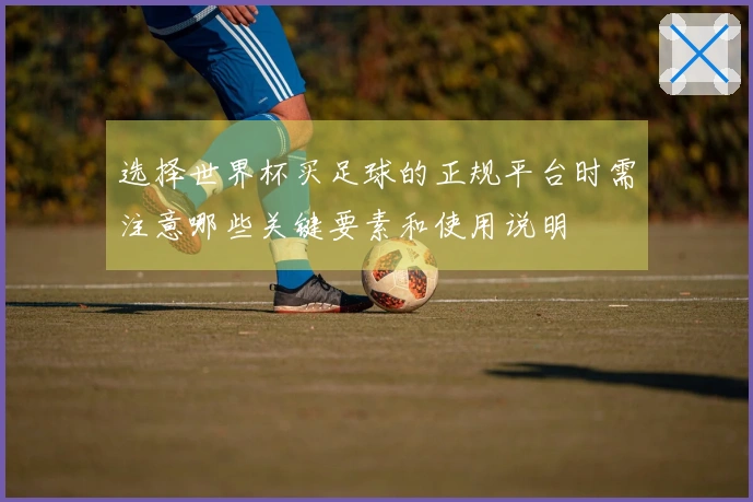 选择世界杯买足球的正规平台时需注意哪些关键要素和使用说明