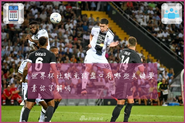世界杯让球竞猜盘口有哪些关键要素你了解吗