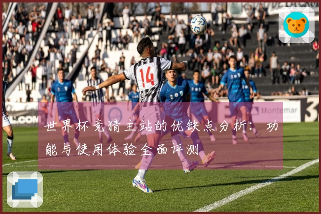 世界杯竞猜主站的优缺点分析：功能与使用体验全面评测
