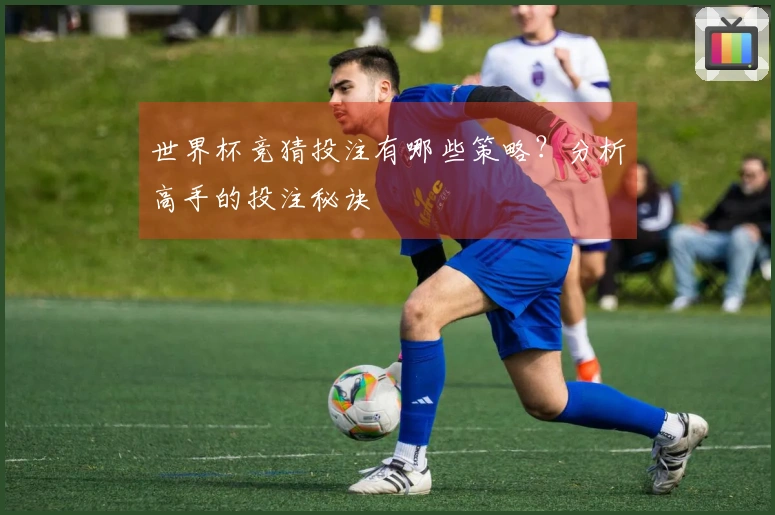 世界杯竞猜投注有哪些策略？分析高手的投注秘诀