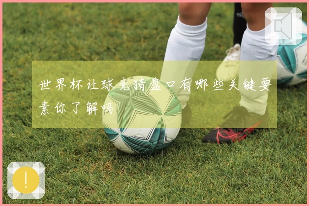 世界杯让球竞猜盘口有哪些关键要素你了解吗