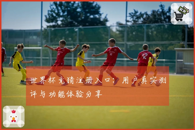 世界杯竞猜注册入口：用户真实测评与功能体验分享