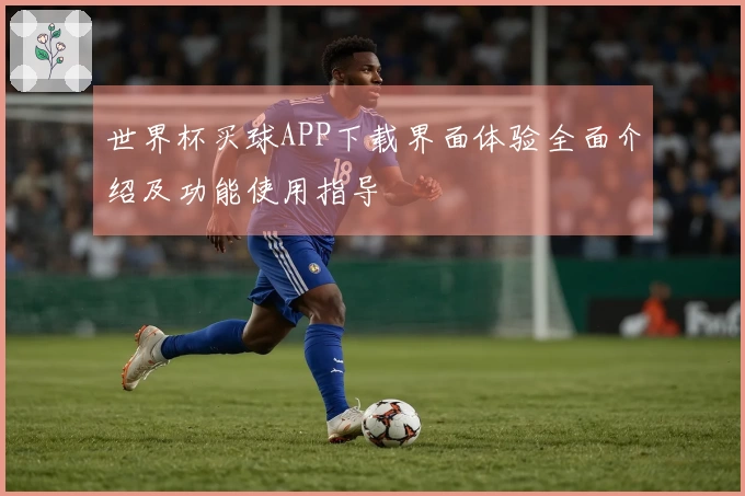 世界杯买球APP下载界面体验全面介绍及功能使用指导