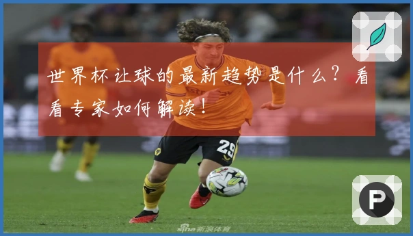 世界杯让球的最新趋势是什么？看看专家如何解读！
