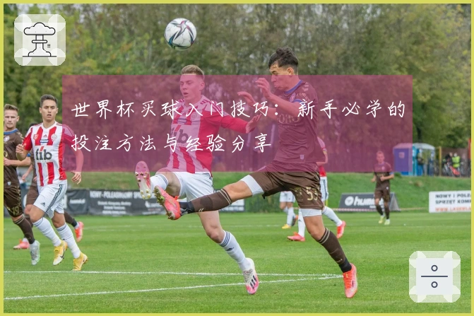 世界杯买球入门技巧：新手必学的投注方法与经验分享