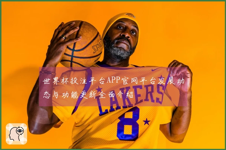 世界杯投注平台APP官网平台发展动态与功能更新全面介绍