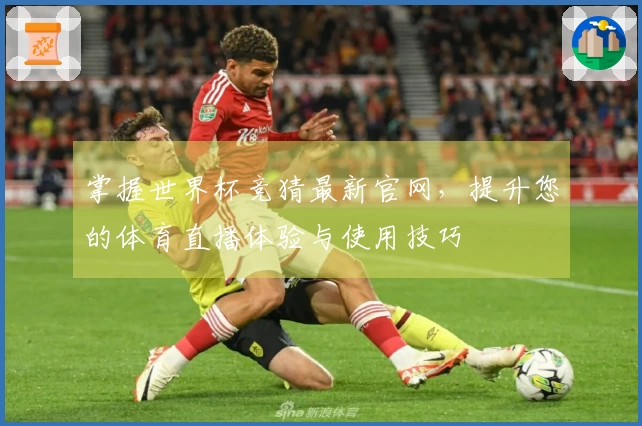 掌握世界杯竞猜最新官网，提升您的体育直播体验与使用技巧