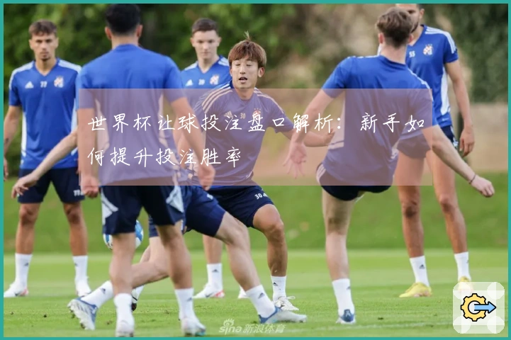 世界杯让球投注盘口解析：新手如何提升投注胜率