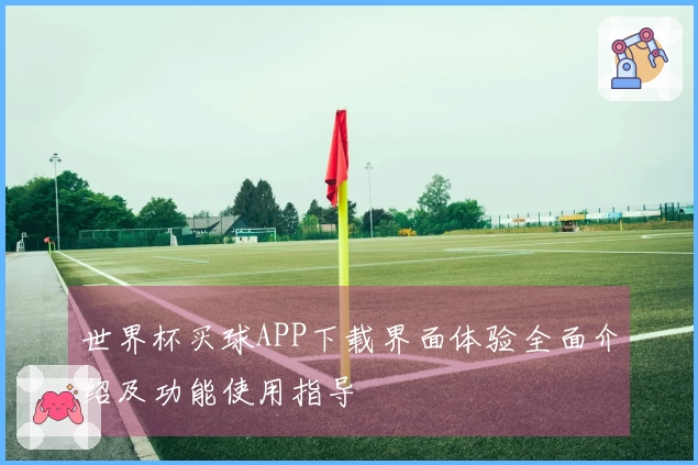 世界杯买球APP下载界面体验全面介绍及功能使用指导