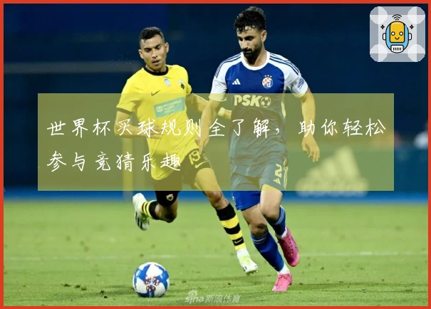 世界杯买球规则全了解，助你轻松参与竞猜乐趣